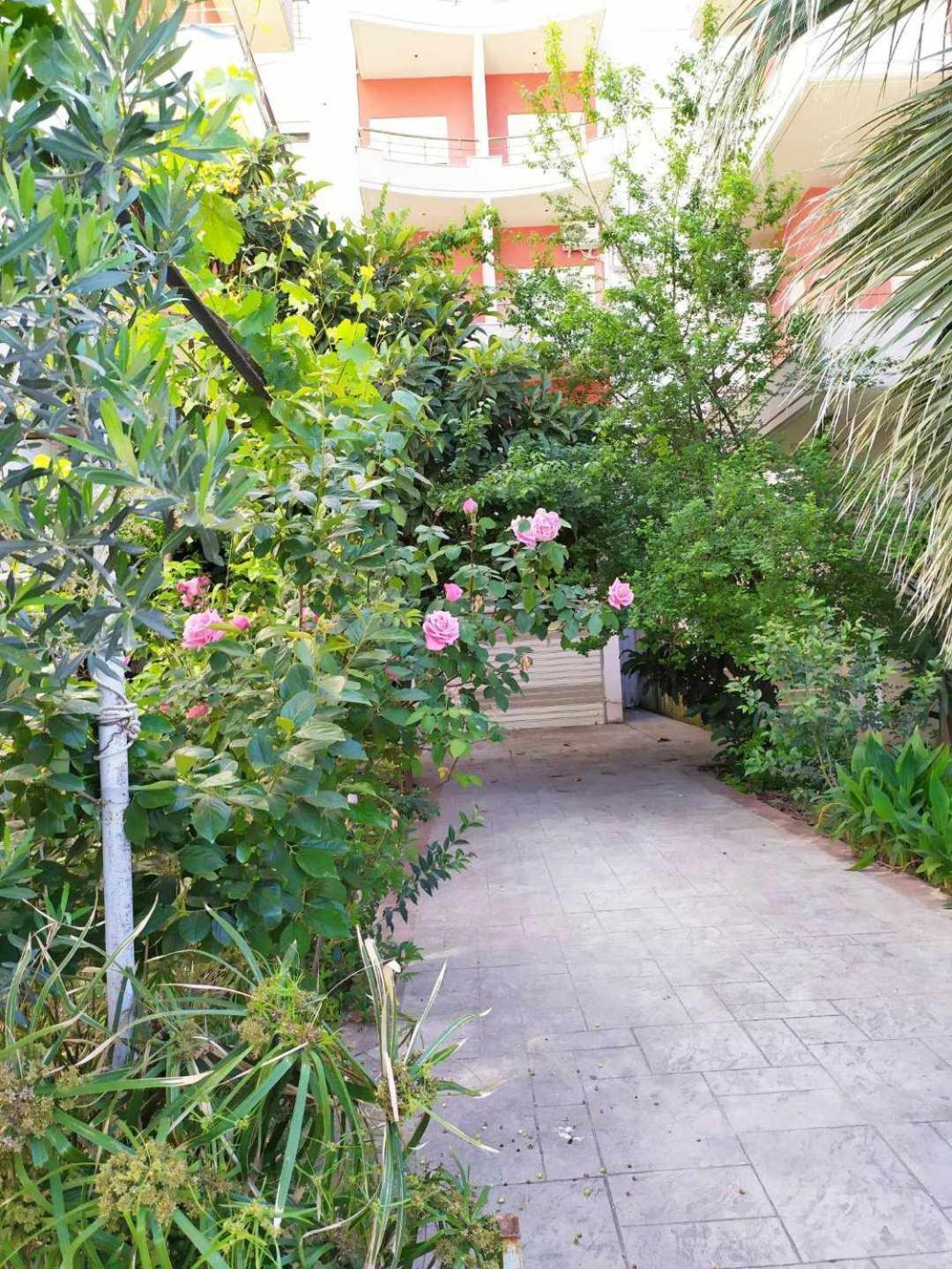 Valbona Apartments Vlore Bagian luar foto